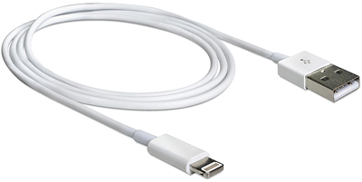 Cordon de raccordement Lightning 1,00m